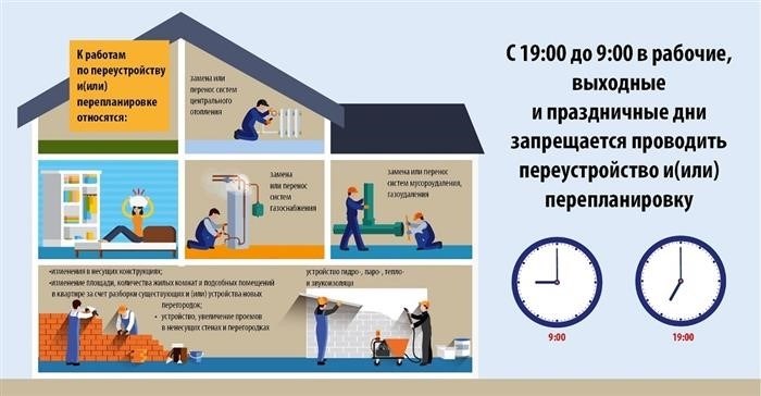 Кошки в частном секторе: правила и ответственность владельцев