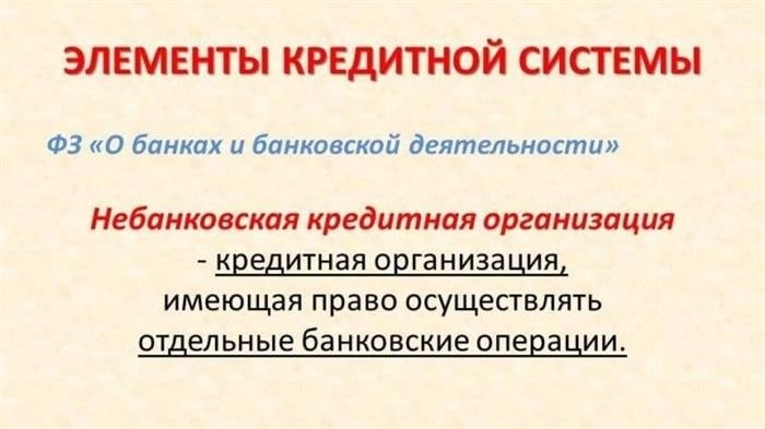 Сущность понятия «небанковская кредитная организация»