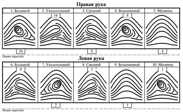 Что выясняется при проведении обследования?