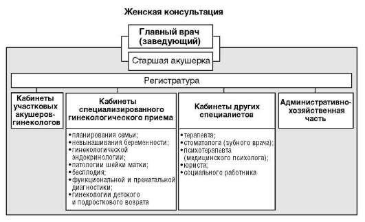 Акушер-гинеколог: кто это?