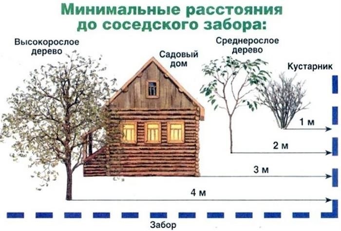 Расстояния от деревьев до построек и прочих коммуникаций