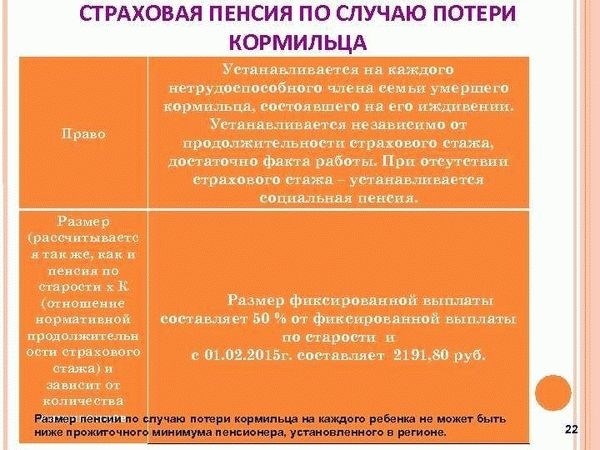 Кто может оформить пенсию по потере кормильца в Псковской области?