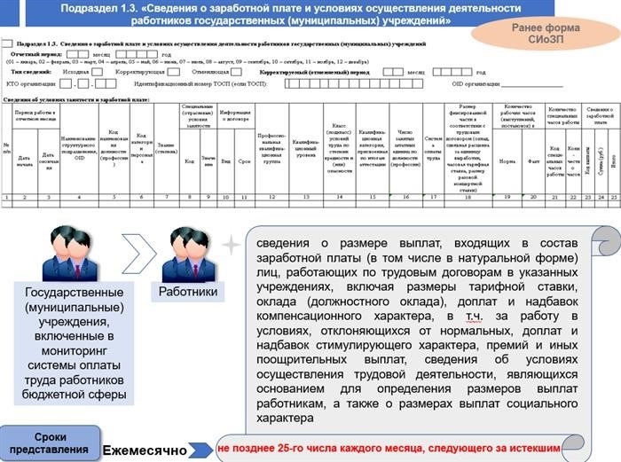 Расшифровка отчета ЕФС-1