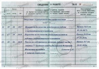 Что должен сделать работодатель