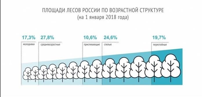 Данные по вырубке леса в России