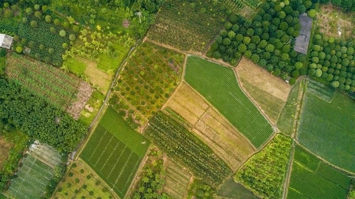 Уплата государственной пошлины